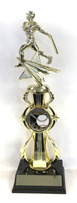 BaseballBBG1.jpg (243680 bytes)